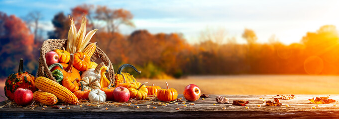 Basket Of Pumpkins, Apples And Corn On Harvest Table With Field Trees And Sky Background -...