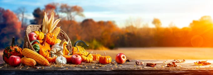Deurstickers Basket Of Pumpkins, Apples And Corn On Harvest Table With Field Trees And Sky Background - Thanksgiving © Philip Steury