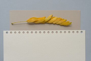 leaves on paper