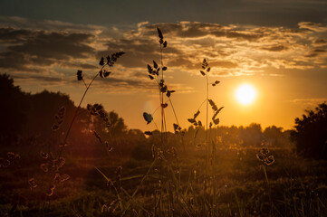beautiful sunset in the steppe