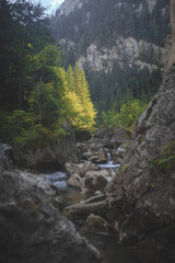 river in the mountains