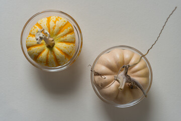 two decorative gourds in glass bowls