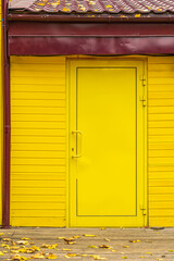 Bright yellow door on colorful yellow wooden wall, fallen leaves