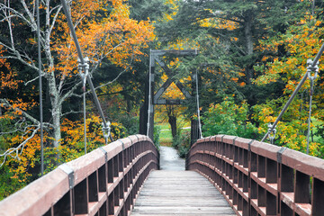 Suspension bridge in Black river county park in Michigan upper peninsula surrounded with colorful...