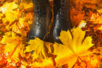 Autumn shoes in the fall foliage. Leaf fall. Autumn walks through fallen leaves. Autumn leaves on...