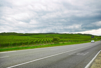 Trip to Krasnodar Territory, Russia. Vineyards visible from road