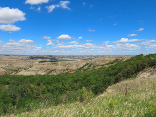 Fototapeta na wymiar The north unit of the Theodore Roosevelt National Park in North Dakota.