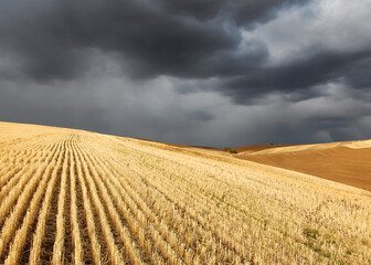 A storm near Pullman, Washington over harvested wheat fields of golden stubble
