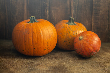 Thanksgiving day or Halloween background, orange harvested pumpkins in autumn