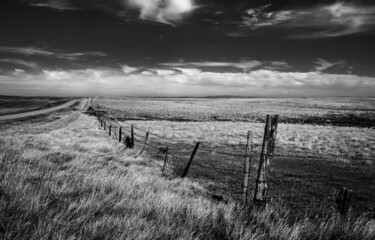 Obraz premium Black and white image of the vast Canadian prairies. The image shows grassland and pasture with a barbed wire fence along a dirt country road leading to the horizon.