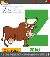 letter Z from alphabet with cartoon zebu animal character - obrazy, fototapety, plakaty