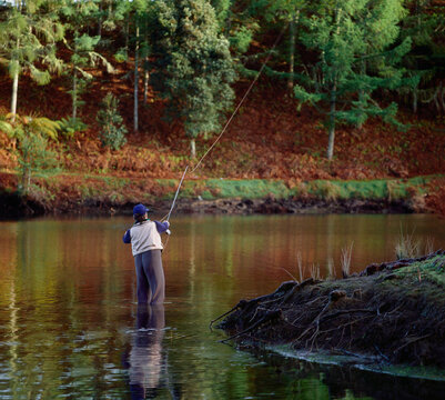Back view of man wading and casting line in water fishing for trout in autumn