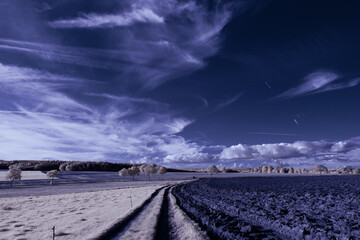 infrared photography - surreal ir photo of landscape with trees under cloudy sky - the art of our...