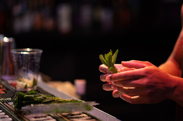 mint leaves in hands