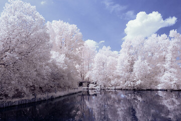 infrared photography - surreal ir photo of landscape with trees under cloudy sky - the art of our...