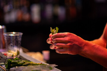 mint leaves in hands