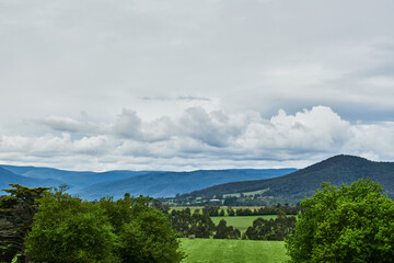 Obraz premium Green Paddocks and Pasture Of Country Victoria, In Springtime