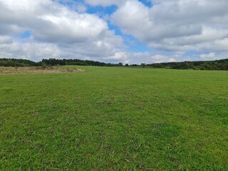 Obraz premium campo, plantio, lavoura, agronegócio, pecuária