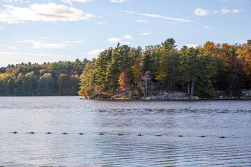 Autumn Beach View in Ontario