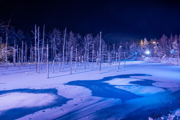 ライトアップされた冬の幻想的な青い池　美瑛町
