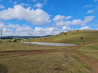 fazenda, pecuária, agronegócio
