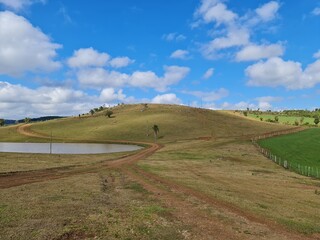 fazenda, pecuária, agronegócio