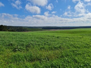 fazenda, pecuária, agronegócio