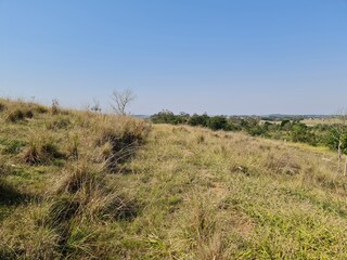 campo para pecuária