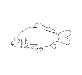 Carp, crucian carp, tinca tinca continuous line drawing. One line art of freshwater fish, seafood, marine animals.