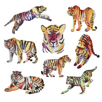 Set watercolor hand-drawn abstract jump tiger wild cat isolated on white background. Chinese symbol new year. Orange animal with black stripes. Creative clipart for christmas, celebration