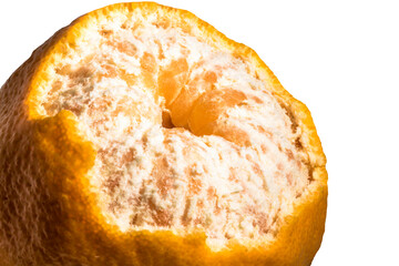 Super sweet honey ponkan orange isolated on white background.