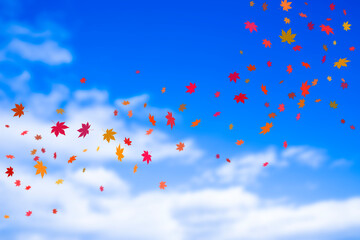 空に舞うもみじ