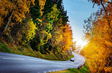 Asphalt road with autumn foliage