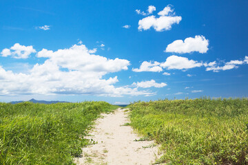 Obraz premium 海水浴場へ続く砂の小道 