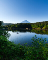 Obraz premium Morning view of Mount Fuji from lake Shoji, Yamanashi Prefecture, Japan