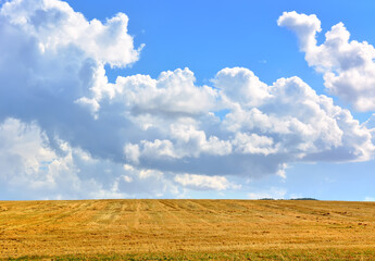 Obraz premium Cloudy skies over a rural field
