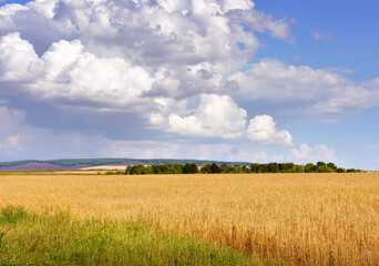 Cloudy skies over a rural field