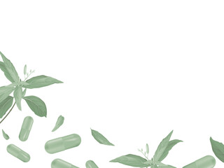 Green capsules with Andrographis paniculata leaves