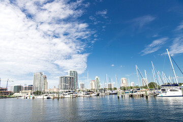 Obraz premium Marina with white yachts under blue sky