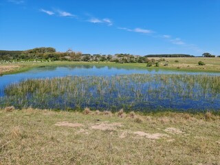 água, arroio, lagoa, açude, 