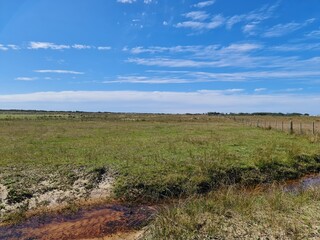 fazenda, campo, pecuária, criação de gado