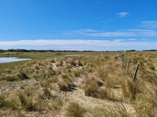 fazenda, campo, pecuária, criação de gado