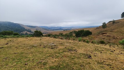 campo para pecuária