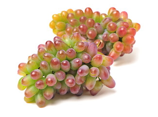 red grape on white background 