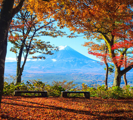 Mountain Fuji and maple tree in Japan