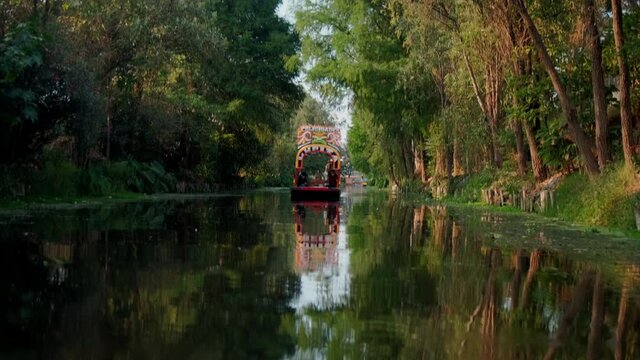 Traditional colorful trajinera surrounded by trees in Xochimilco lake