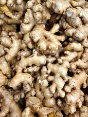 A close up photo of ginger is being sold on fresh ingredient market