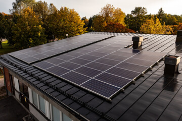 roof solar cells, autumn forest background