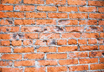 Colorful orange textured brick wall