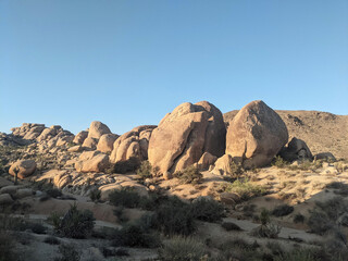 Joshua Tree National Park in California, United States. Trees and rocks on the dessert